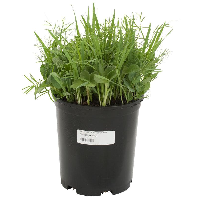 Peaceful Valley Organic Premium Soil Builder Mix - Raw Seed (lb)