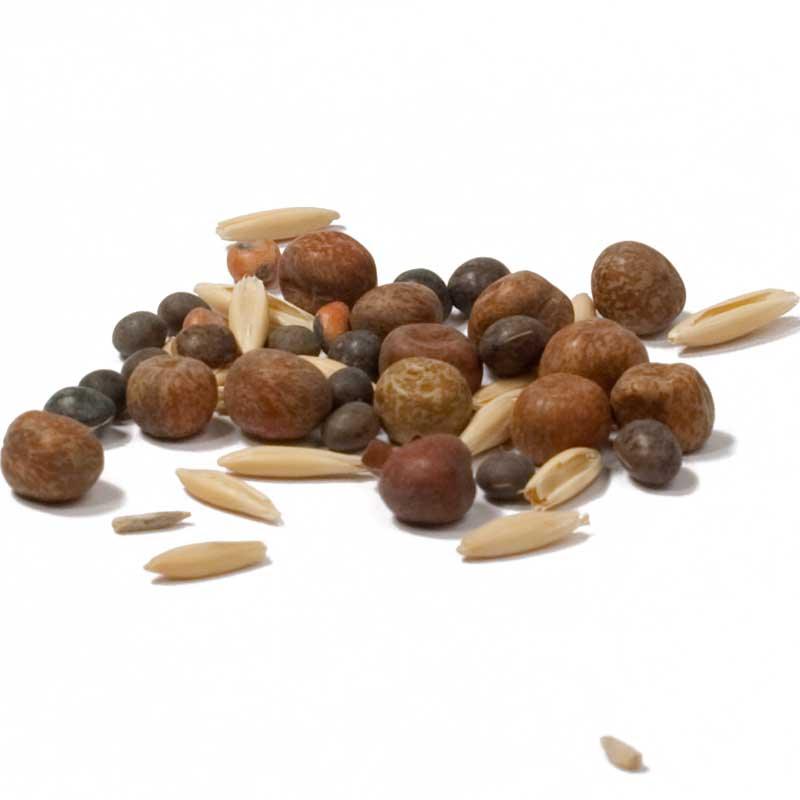 Peaceful Valley Legume Oat Mix #1 - Raw Seed (lb)
