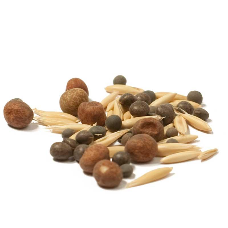 Peaceful Valley Legume Oat Mix #2 - Raw Seed (lb)