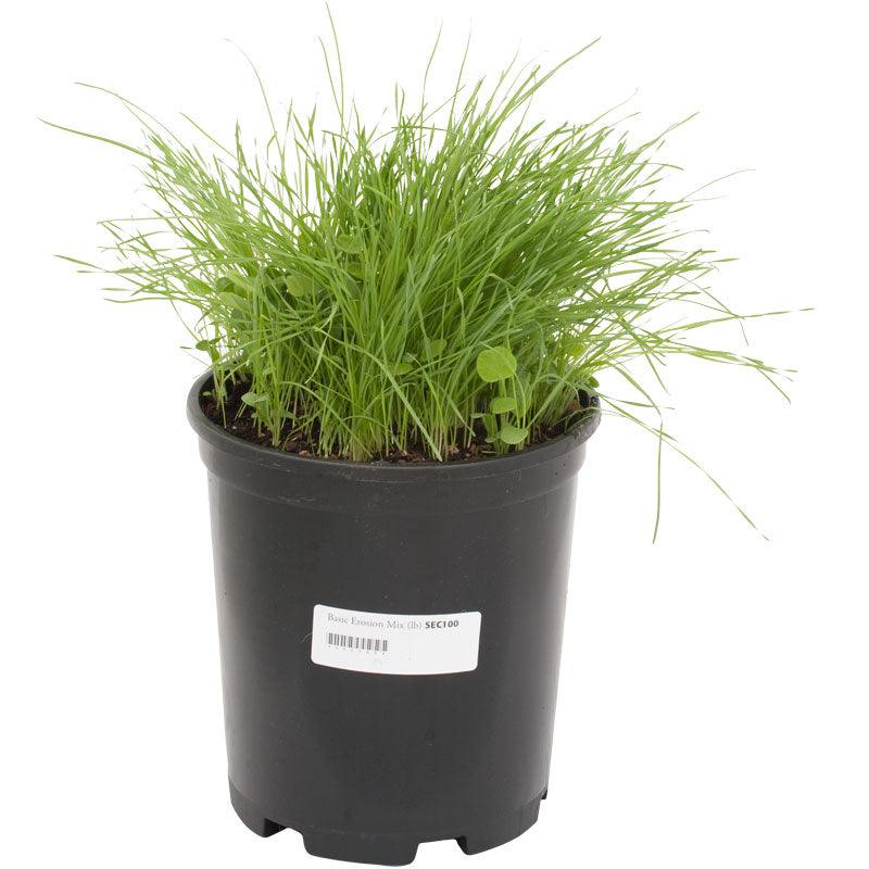 Peaceful Valley Basic Erosion Control Mix - Nitrocoated Seed (lb)