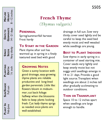 French Thyme Seeds