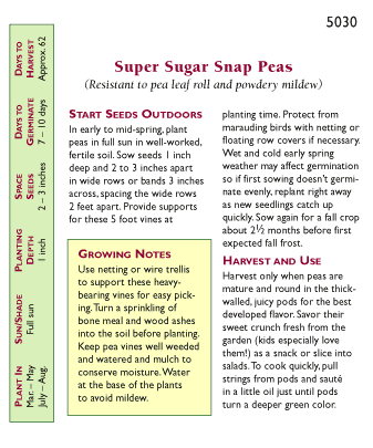 Super Sugar Snap Pea Seeds