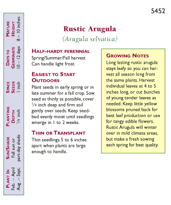 Rustic Arugula Seeds