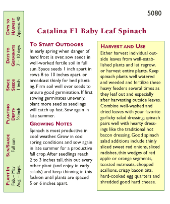 Catalina Baby Leaf Spinach Seeds