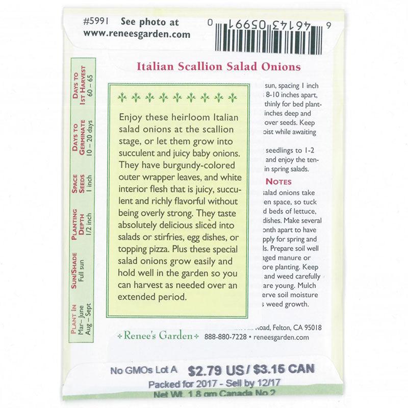 Italian Scallion Onion Seeds