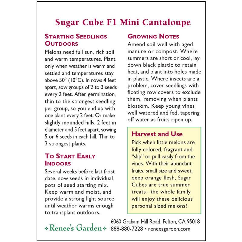 Melon Cantaloupe Mini Sugar Cube Seeds