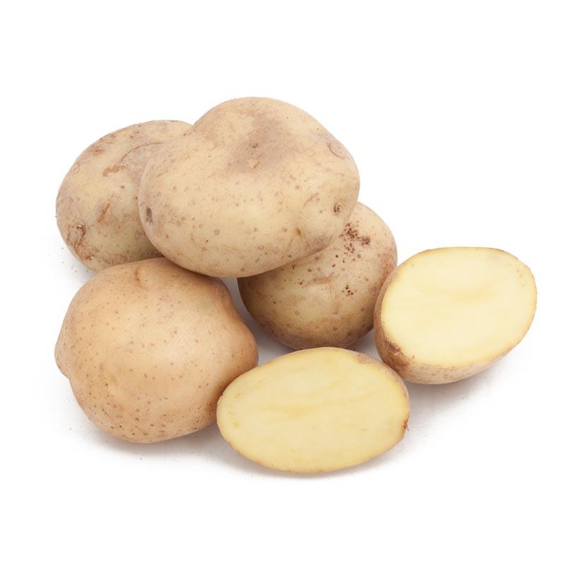 Organic Yellow Finn Seed Potato (lb)