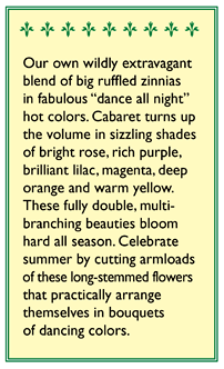 Cabaret Double Cutting Zinnia Flower Seeds
