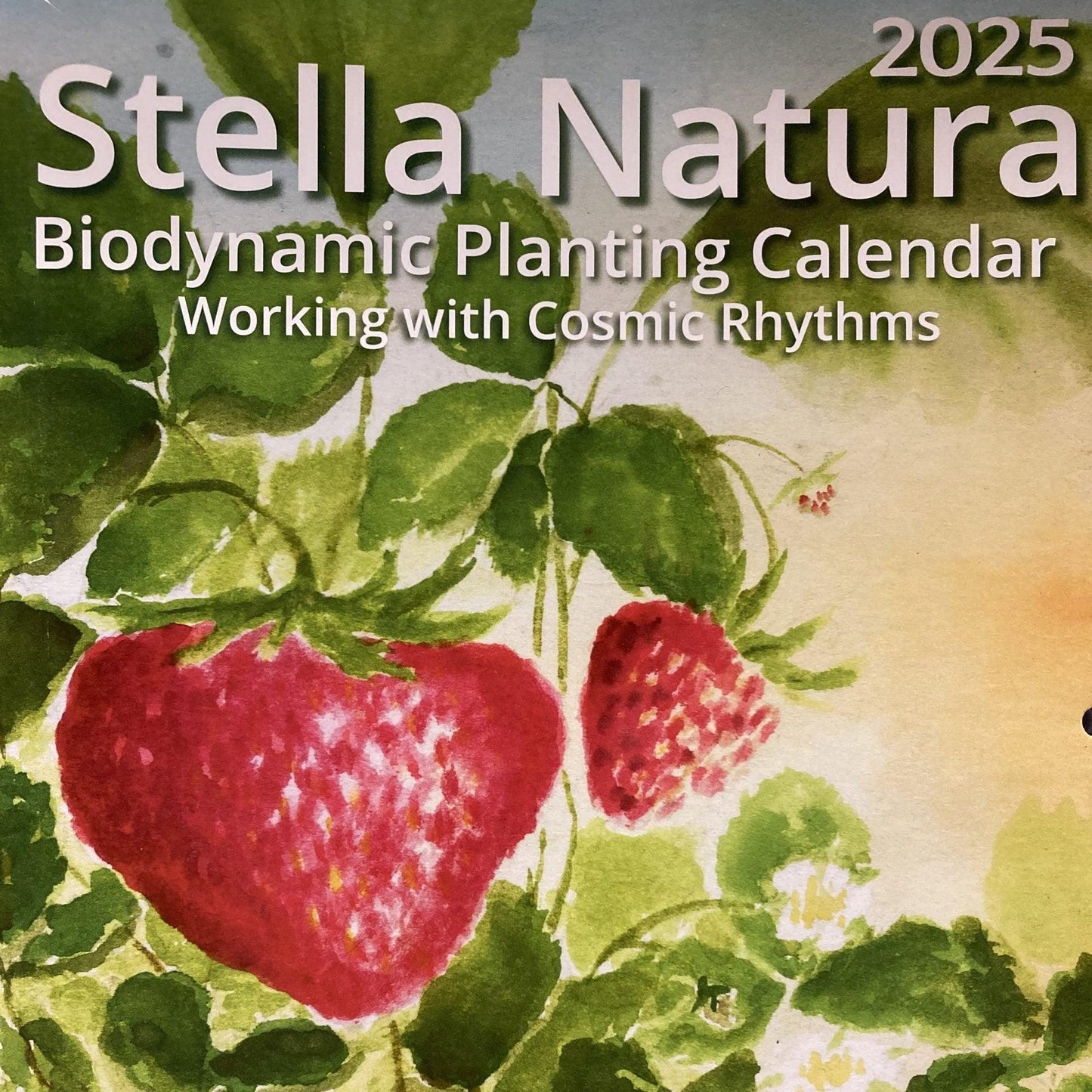 Stella Natura 2026 Biodynamic Planting Calendar