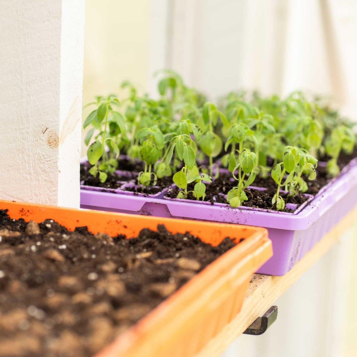 1020 Seed Starting Trays