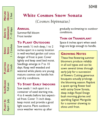 Sonata Knee-High Cosmos Flower Seed Mix