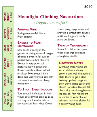 Moonlight Climbing Nasturtium Flower Seeds