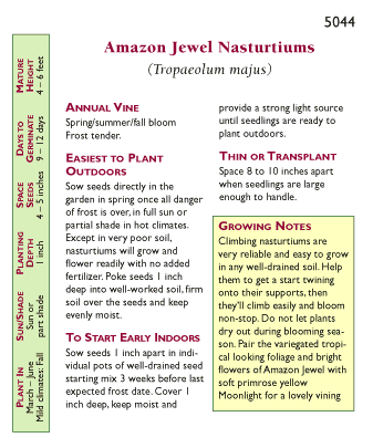 Amazon Jewel Climbing Nasturtium Flower Seeds