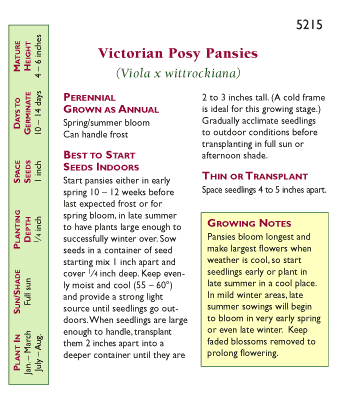 Victorian Posy Pansy Flower Seeds
