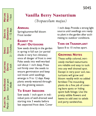 Vanilla Berry Hummingbird Nasturtium Flower Seeds