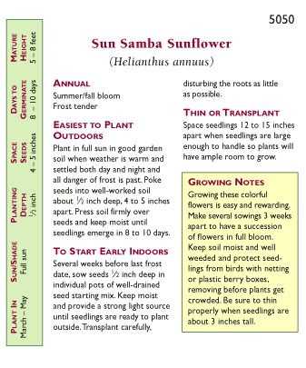 Sun Samba Ornamental Sunflower Flower Seeds