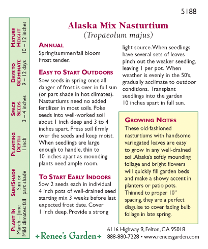 Alaska Nasturtium Flower Seed Mix