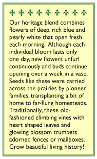 Mailbox Morning Glory Flower Seed Mix