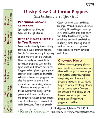 Dusky Rose California Poppy Flower Seeds