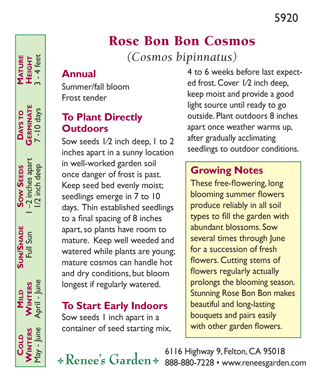 Rose Bon Bon Double Cosmos Flower Seeds