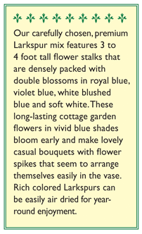 Singing the Blues Bouquet Larkspur Flower Seeds