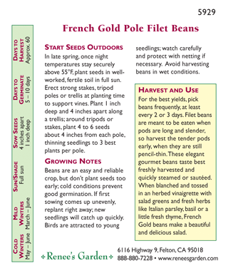 French Gold Filet Pole Bean Seeds
