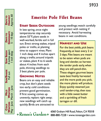 Emerite Filet Pole Bean Seeds