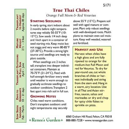 Thai Duo Orange Full Moon & Red Vesuvius Chile Pepper Seeds