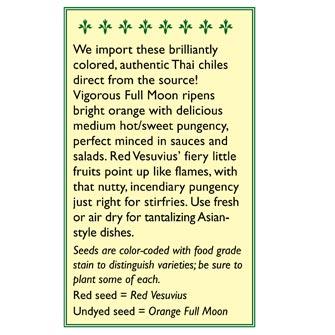 Thai Duo Orange Full Moon & Red Vesuvius Chile Pepper Seeds