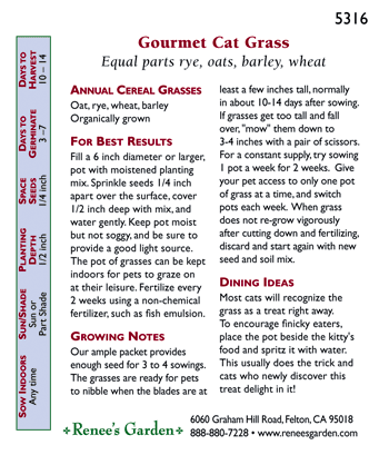Cat Treats Gourmet Greens Seed Mix