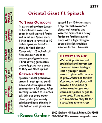 Oriental Giant Japanese Spinach Seeds