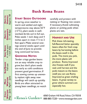 Roma Improved Bush Bean Seeds
