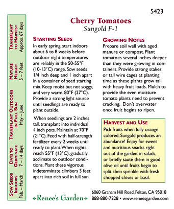 Sungold Orange Cherry Tomato Seeds