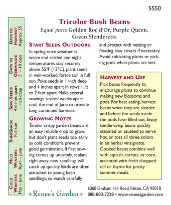 Gold Purple & Green Tricolor Bush Bean Seed Mix