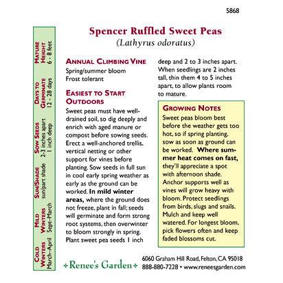 Spencer Ruffled Sweet Pea Flower Seeds
