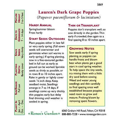 Lauren's Dark Grape Heirloom Poppy Flower Seeds