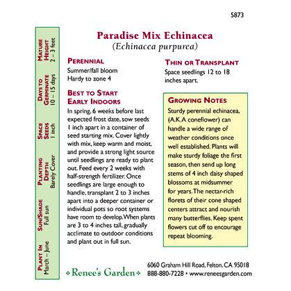 Butterfly Paradise Echinacea Flower Seed Mix
