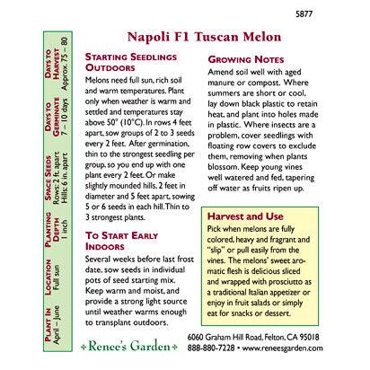 Napoli Tuscan Melon Seeds