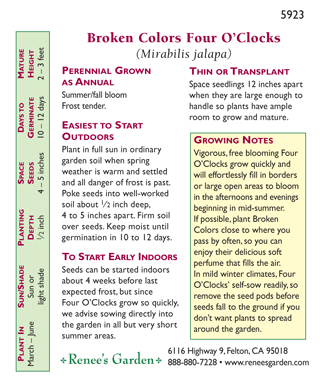 Broken Colors Four O'Clock Flower Seeds