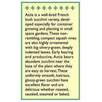 Astia Zucchini Summer Squash Seeds
