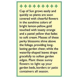 Cup of Sun Mounding Nasturtium Flower Seeds