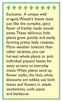 Wasabi Arugula Seeds