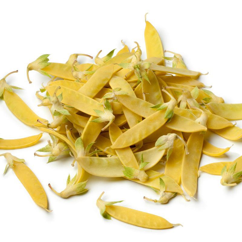 Yellow Sugar Pod Pea Seeds (Organic)