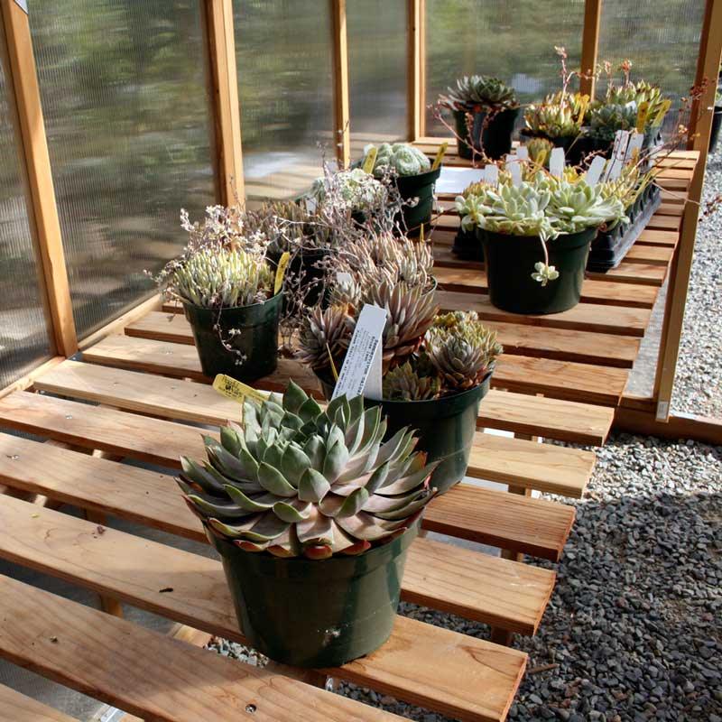 8' X 16' Greenhouse - Bench Kit (1 Bench)