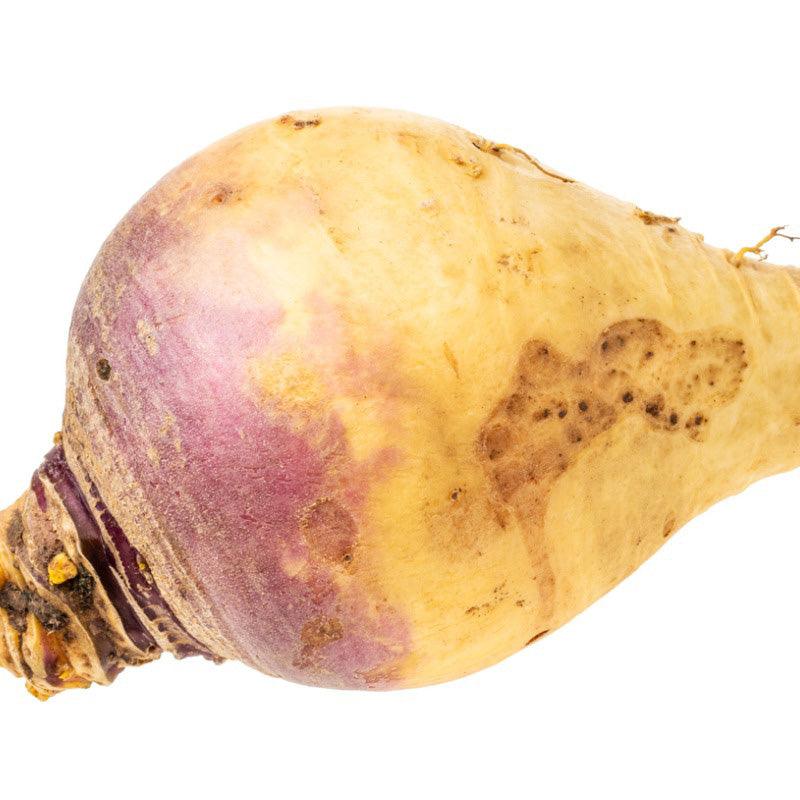 Nadmorska Rutabaga Seeds (Organic)
