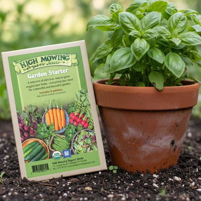 Garden Starter 6 Seeds Packets (Organic)