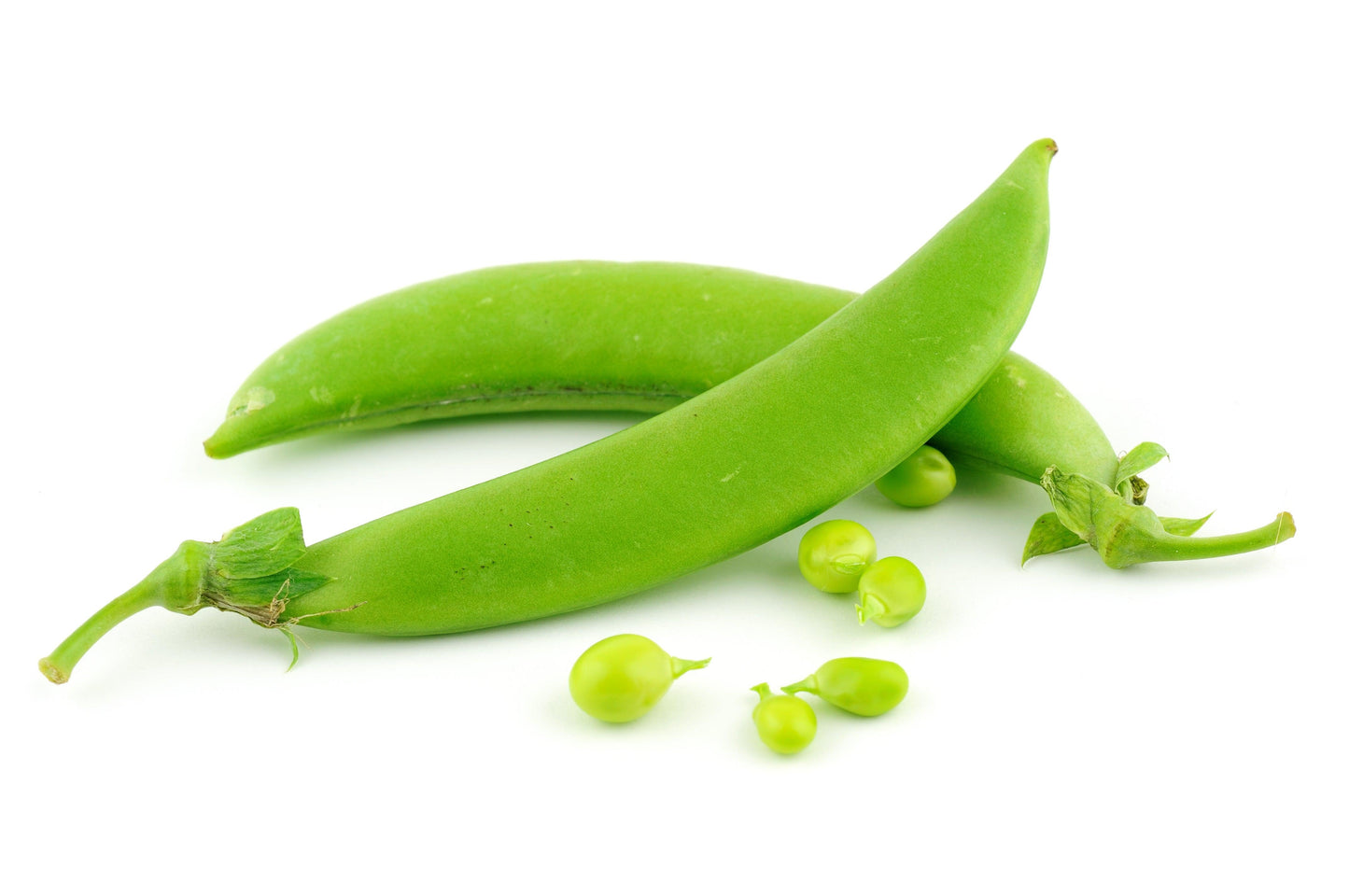 Organic Cascadia Sugar Snap Pea