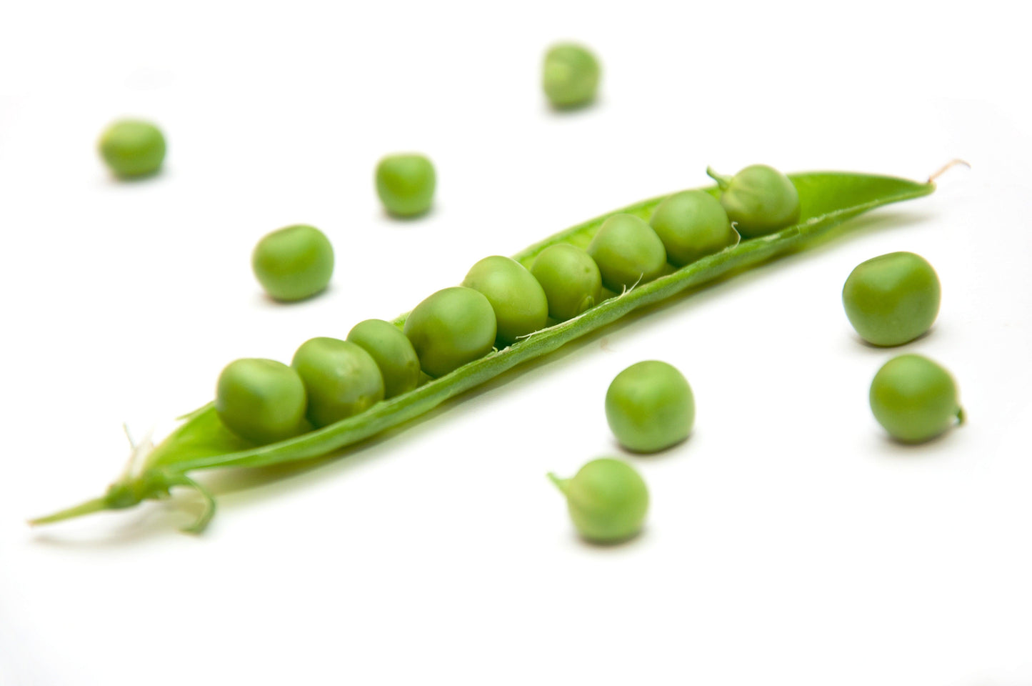 Organic Green Arrow Shelling Pea