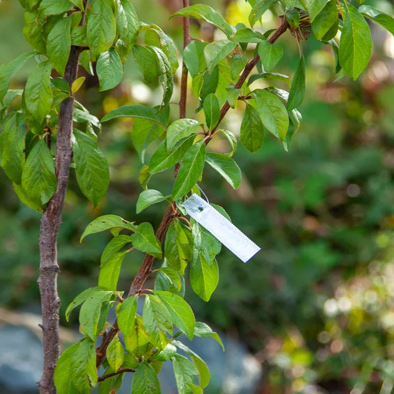 Aluminum Plant Tags (Bundle of 50)