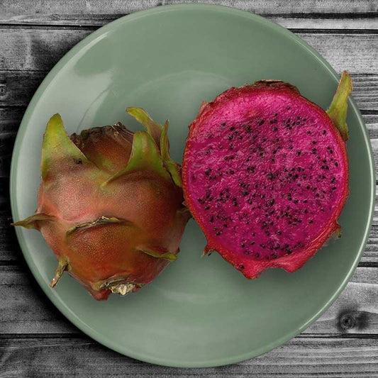 Organic American Beauty Dragon Fruit Cuttings